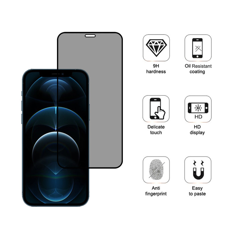 Alink privacy full cover tempered glass screen protector for Apple iPhone 12 Pro
