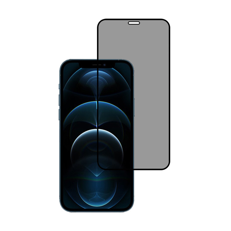 Alink privacy full cover tempered glass screen protector for Apple iPhone 12 Pro