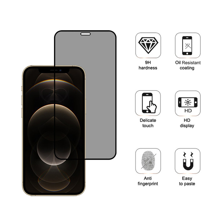 Alink privacy full cover tempered glass screen protector for Apple iPhone 12 Pro Max